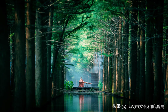 暴雨天，武汉这里排长队！