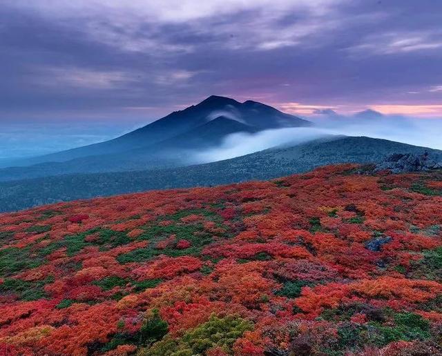 2025日本赏红叶攻略已出！附北海道、东北5大赏红叶景点~