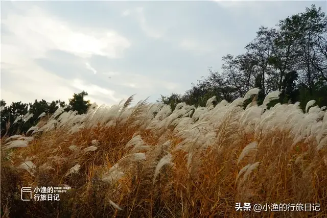 西安自驾2H，超惊艳赏秋路线推荐！红叶进入爆发期，路好景美人少