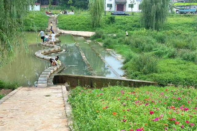 河南汝阳：邂逅杜康古镇，共赴菊海之约