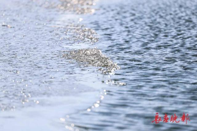 天工挥毫！长春今冬奇幻冰面盛景已上线