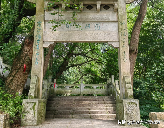 被杭州“药祖圣地”迷住了，一到晚上美如仙境，关键还能免费游！