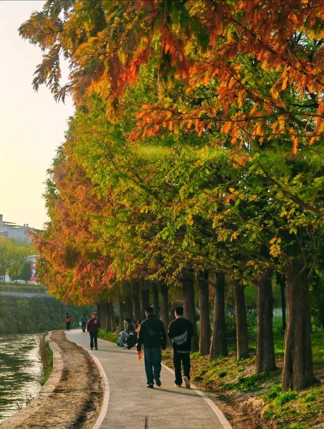 西安城区4个绝美秋景打卡地！