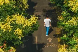 “霸道”栾树获封“九月花神”，美丽容颜“超长待机”图片
