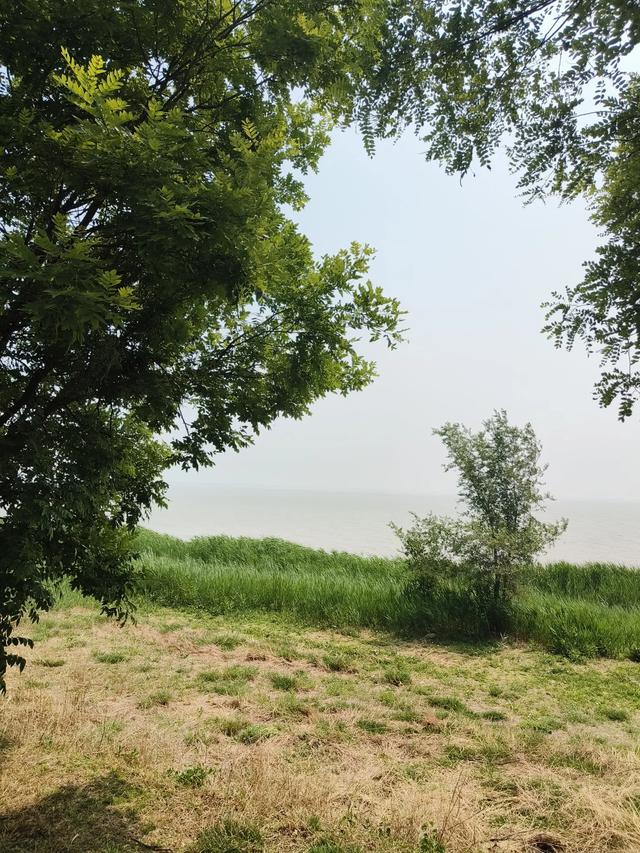 天津《团泊湖》