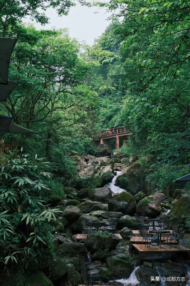 还有谁！比青城山和赵雅芝还绝配