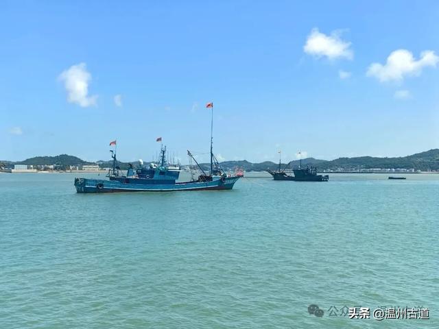 十一哪里玩？温州这个宝藏沙滩不仅是亲子游好去处，还可出海打鱼