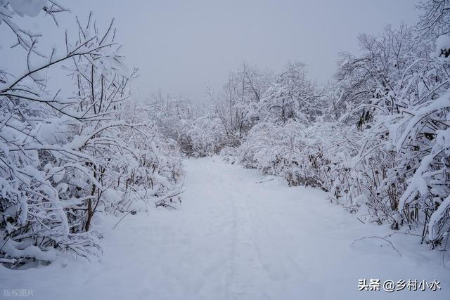 “最怕冬至是晴天”，明日冬至，晴天有啥预兆？看农谚咋说