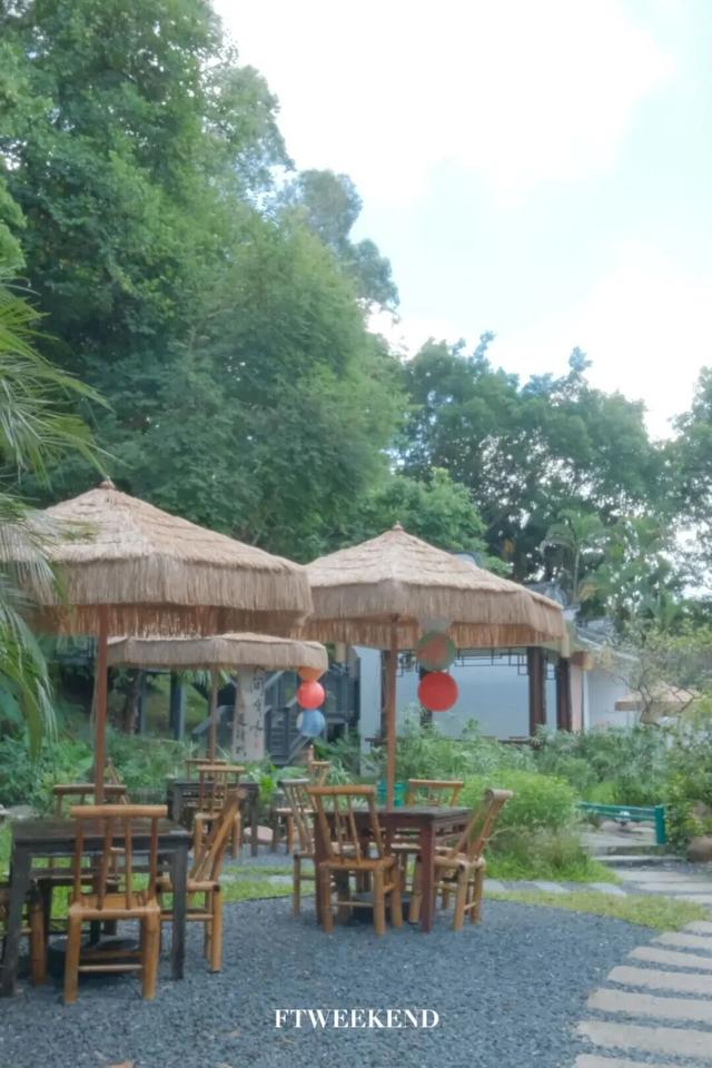 深圳秋色上线！这个公园，藏不住了......