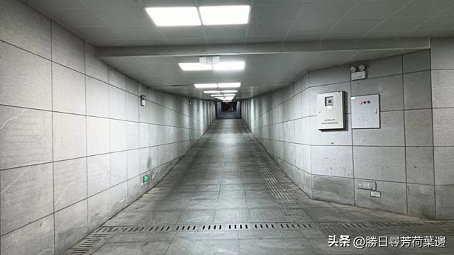 “铁拐李醉鱼”，古澴河消失了的美味——“八仙”孝感奇闻录