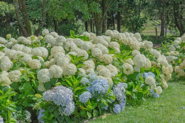 腾冲2026年度文旅活动主题发布，月月有惊喜！