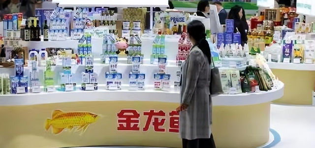 新加坡总理公开支持高市后，被罚18亿账单的金龙鱼	，凉得更快了