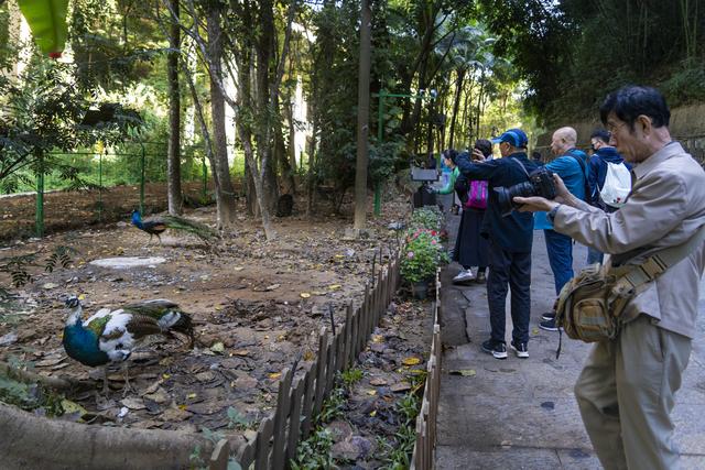 云南景洪：最大的综合性生态旅游景点