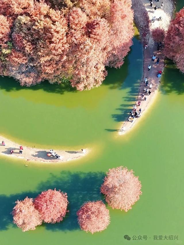 冲上“绍兴TOP1”！绍兴这处美景藏不住了！都有人在赶过来了