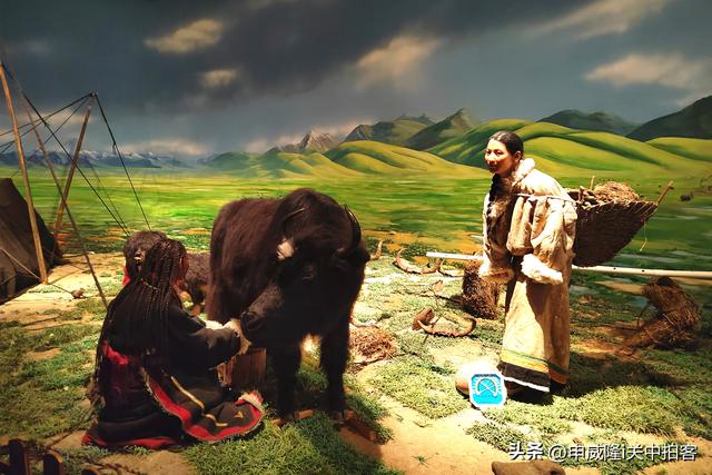 拉萨市：参观西藏牦牛博物馆