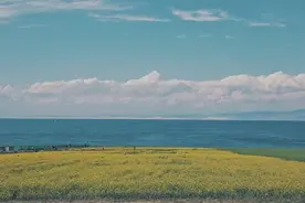 投资者说(二0四)图片