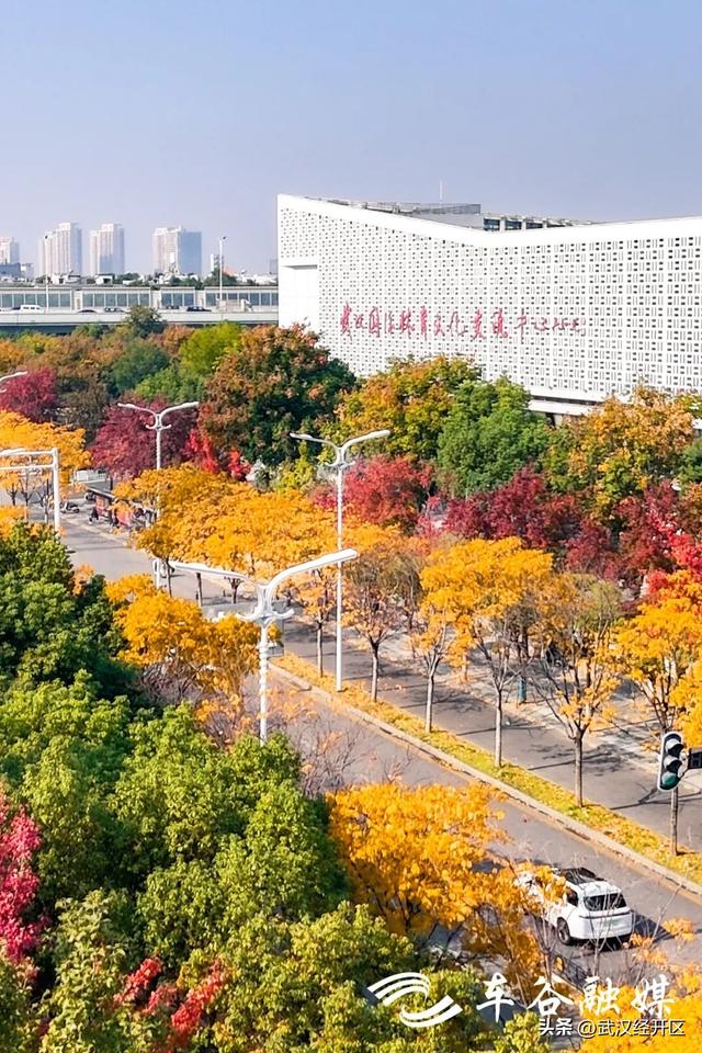 橙黄橘绿时 武汉经开区斑斓如画