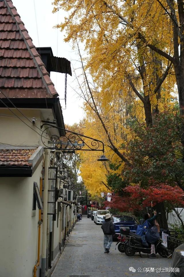 深秋限定！这条百年弄堂里尽是金色的浪漫！