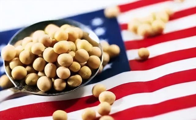 特朗普按时履行中美会晤承诺，美国带头降低关税，释放合作信号