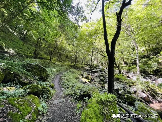 清风带凉意，最美是初秋，一键解锁黑河山水间的治愈美景！