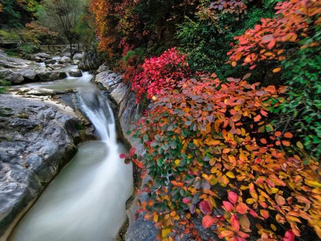 这才是秋天该有的样子~