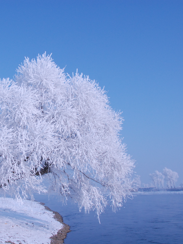 俄罗斯萌娃都来了！你还等啥呢？