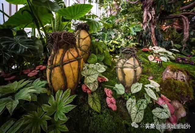 看稀奇看古怪，第一时间来看重庆渝北光环花园城开业第一天的状态