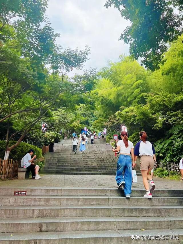 长沙人有自己的“东方明珠”？初秋，带娃往高处去！
