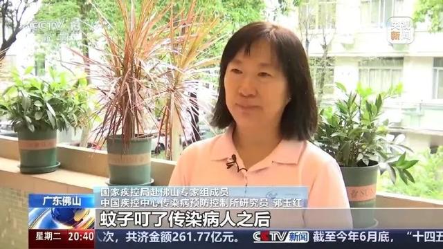 广东基孔肯雅热确诊2659例，定点收治机构加装蚊帐，核酸检测阳性需住院，专家：疫情防控正处关键时期