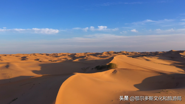 这就是杭锦旗“非来不可”的理由！