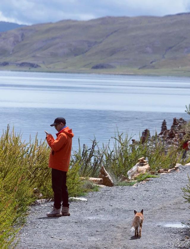 库拉岗日，“戏”真多！