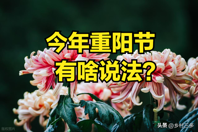 不是迷信！今日九月初九，记得：1不劳、2不送、3不出、4要吃！