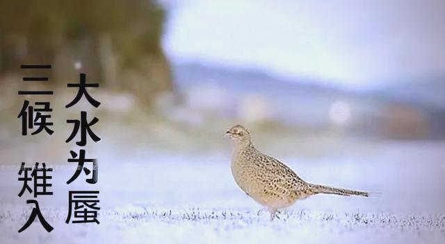 “上午立冬大雪封门，下午立冬单衣过冬”，今年立冬是什么时候？