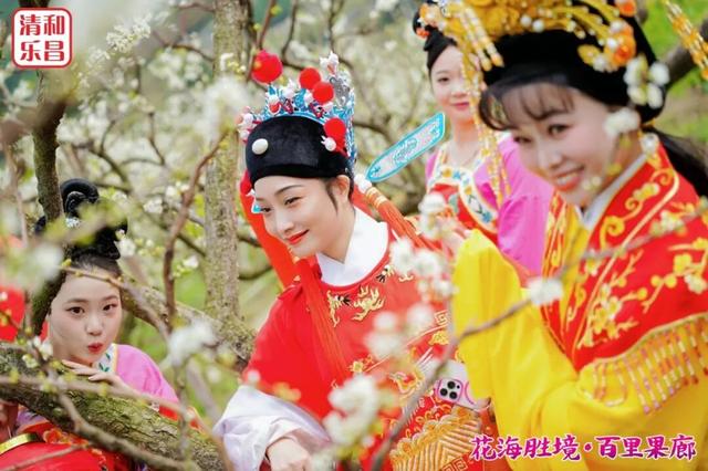 乐昌花海千人游！澳门游客：第一次来就惊艳到了