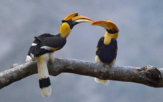 携台湾亲朋自驾游滇西南之十一