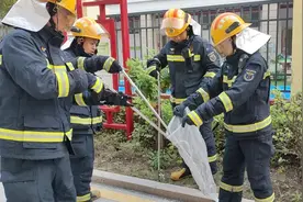 事发漳浦！一校园内惊现“蛇出没”……图片