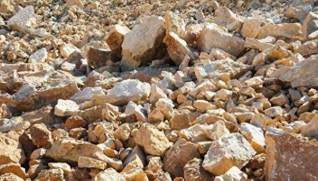 特朗普向全球发通牒！180天内必须对中国“动手	”，否则重磅制裁