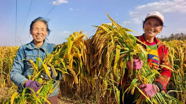 灵丘:红色热血沃热土 绿色发展焕新颜