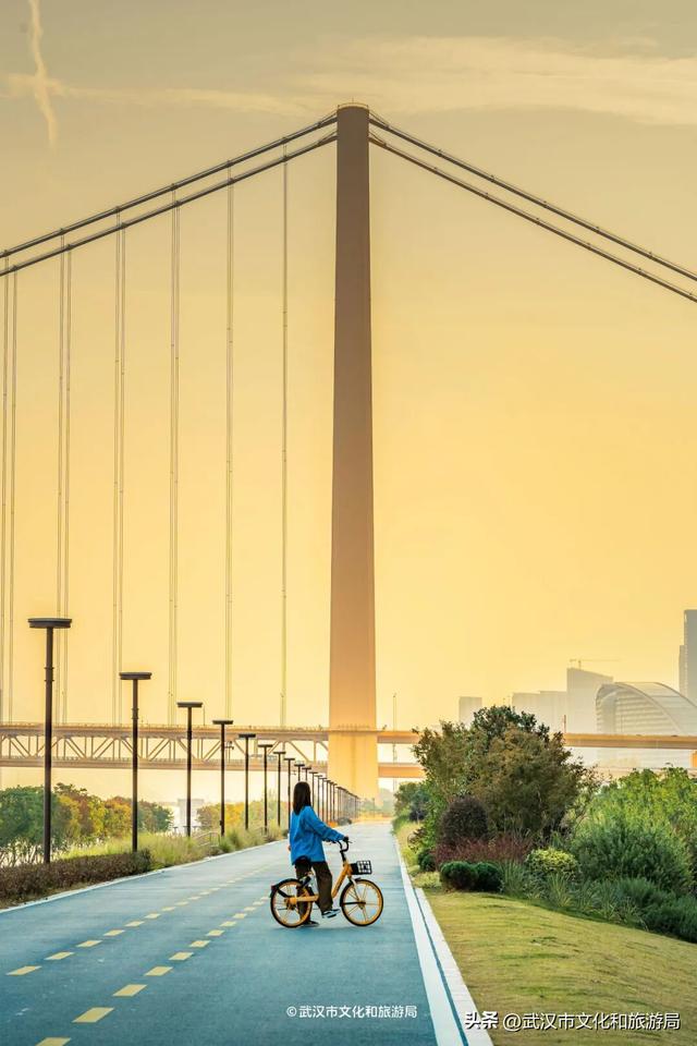 今天起免费预约，限时7天！