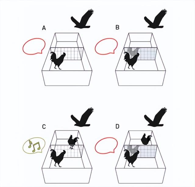 《英国皇家学会哲学汇刊》德国科学家提出人类获得意识的新见解