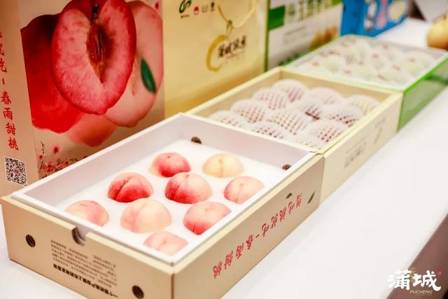 庆国庆 迎中秋|蒲城县2025年国庆活动精彩来袭！