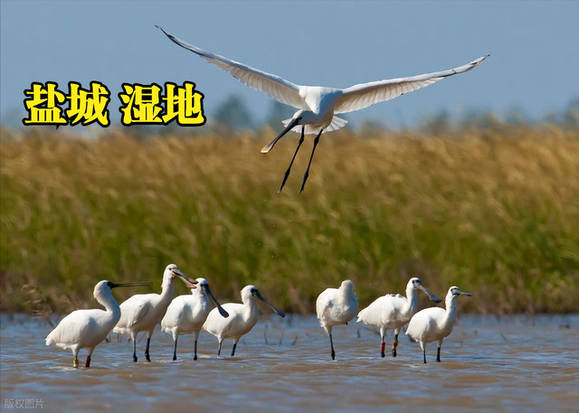 小城逆袭！逃离热浪！2025盛夏旅行风向标，全在这份热榜里了！