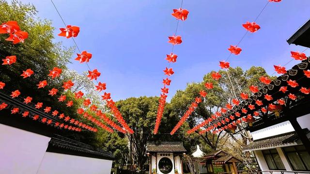 春天的打开方式，从公园徒步、赏花开启