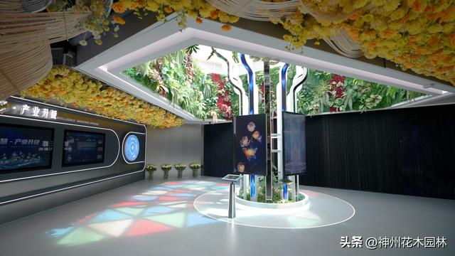 斗南花卉展览馆揭幕：全面展现从“花街”到“花都”的华丽蝶变