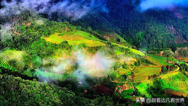 《西双版纳 澜沧行》左都佤山梯田云雾：天地间的水墨长卷