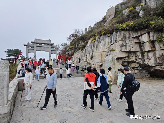 徒步登泰山之三——岱顶风光奇秀绝天下