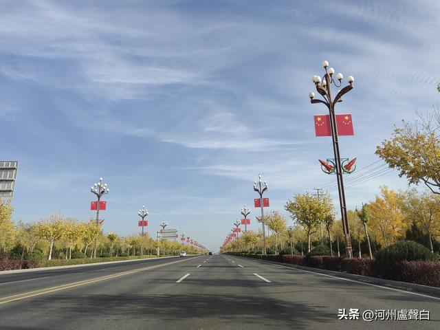 金塔胡杨林