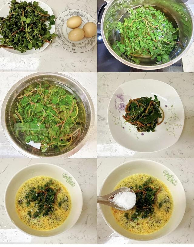 立秋后，多吃自带“天然青霉素”的菜，提高免疫力，身体更健康！