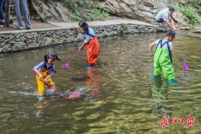 入伏啦！清凉寨里享清凉