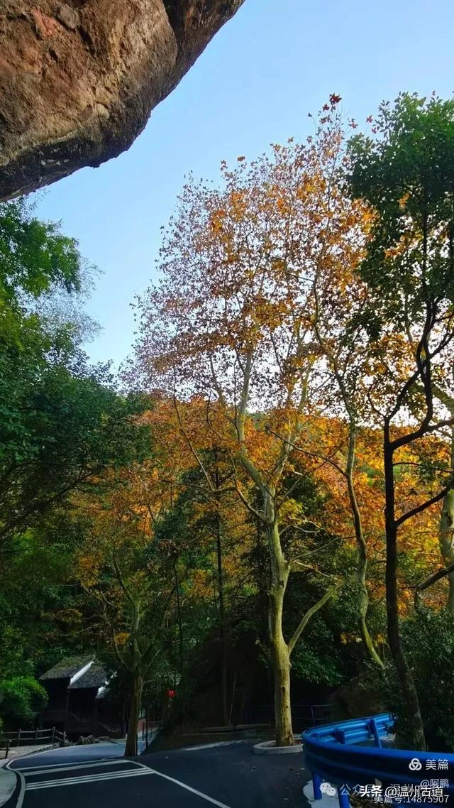 浙处丹霞地貌秋色斑斓超壮观,秋日必打卡之地!